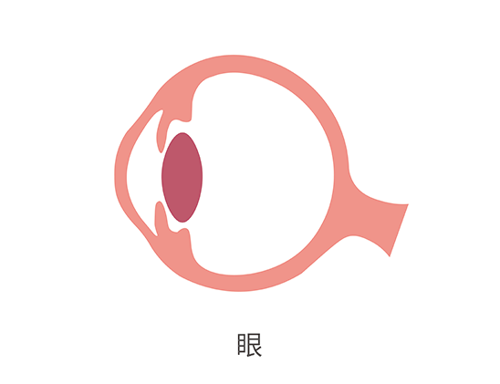 【DB电子官网基因检测